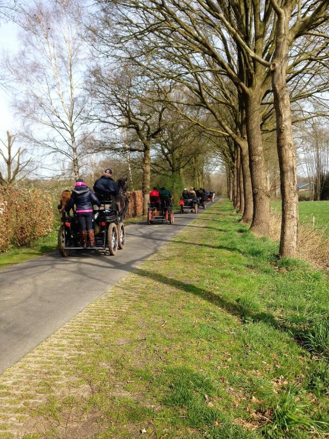 Wildenborcherhof Vorden Kültér fotó