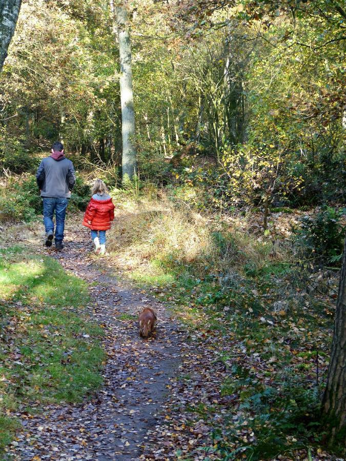 Wildenborcherhof Vorden Kültér fotó